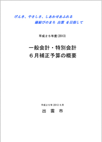 ６月補正予算の概要